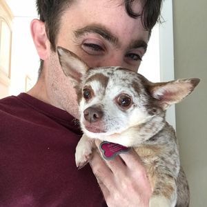 Meet your Posher, Maxwell